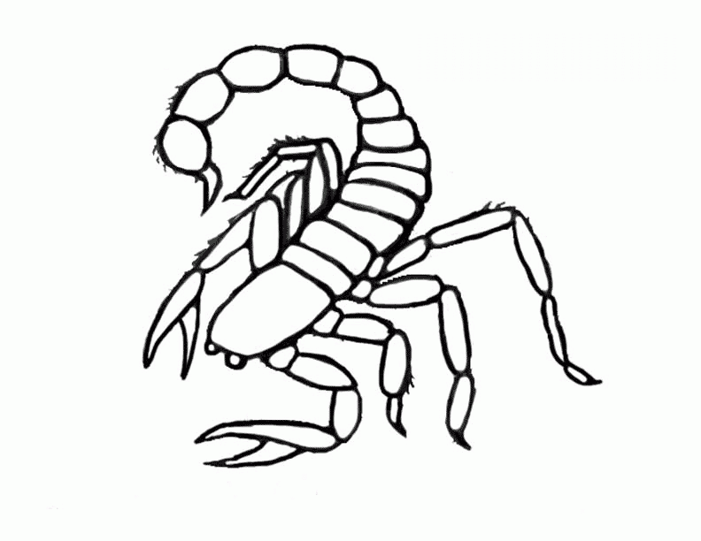 imagini de colorat scorpion